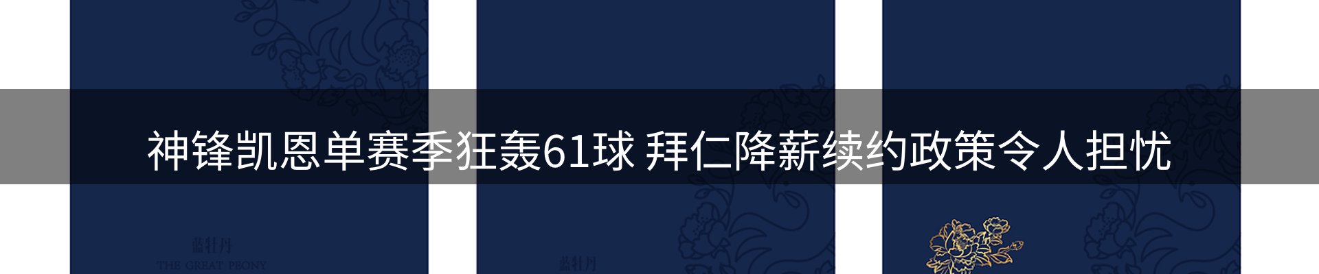 焦点概览